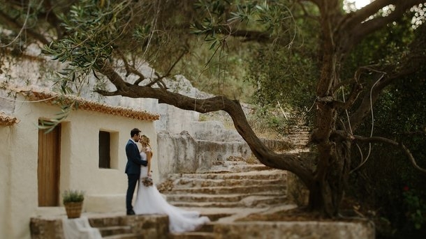 В Германии 500-летний дуб “устроил” уже 100 свадеб