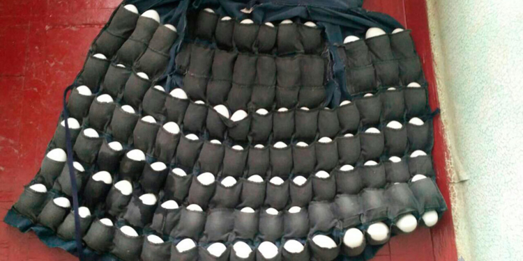 Яйцелюб в Кременчуге сделал куртку-яйценоску и вынес с фабрики 110 яиц в карманах