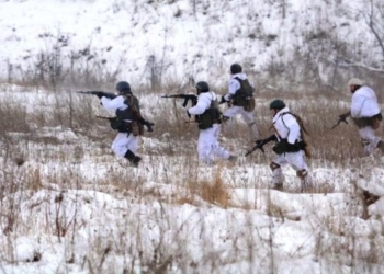 На Луганщине военные ВСУ взяли в плен боевика