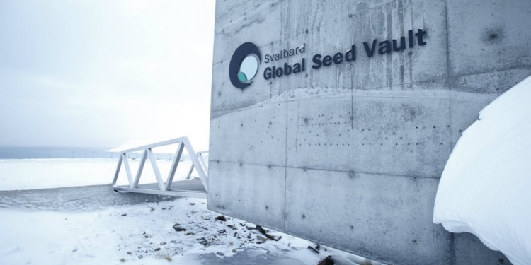 “Хранилище судного дня” модернизируют из-за потепления Арктики