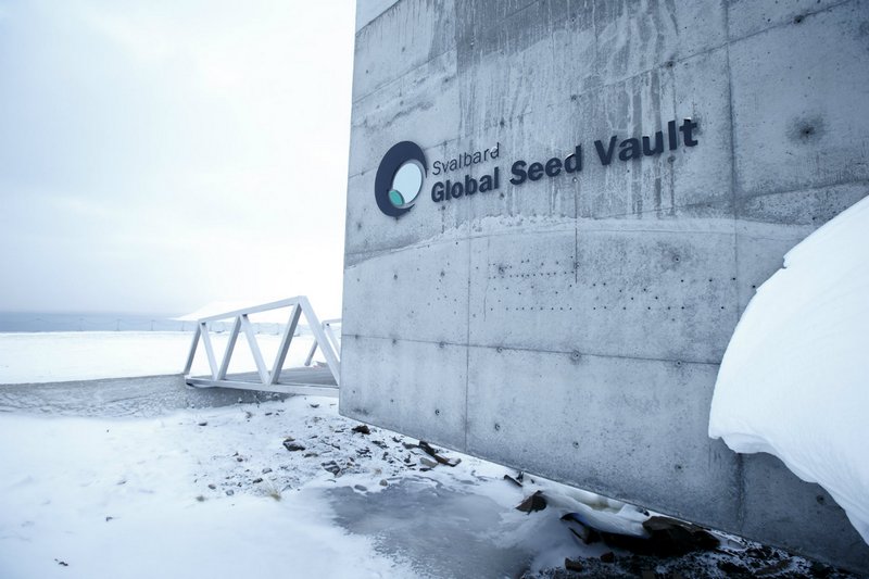 "Хранилище судного дня" модернизируют из-за потепления Арктики 1