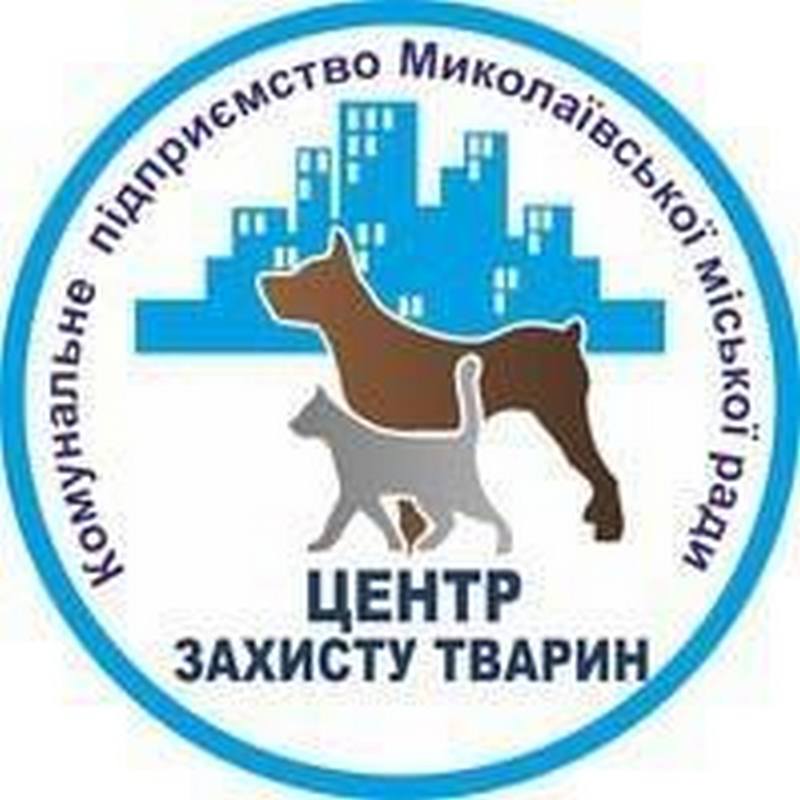 За последние 2 дня в Николаеве КП «Центр защиты животных» отловило 11 агрессивных бездомных собак (ФОТО) 9