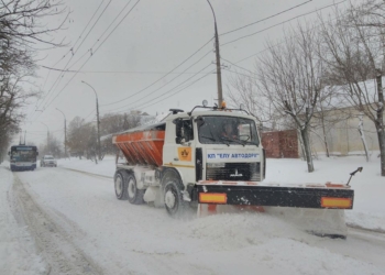 Директор “ЭЛУ автодорог” подвела итоги борьбы со снежным циклоном в Николаеве