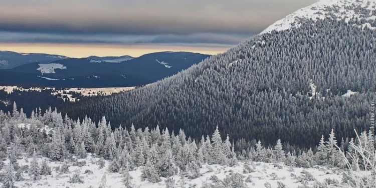 В Карпатах нашли туриста, потерявшегося 7 марта