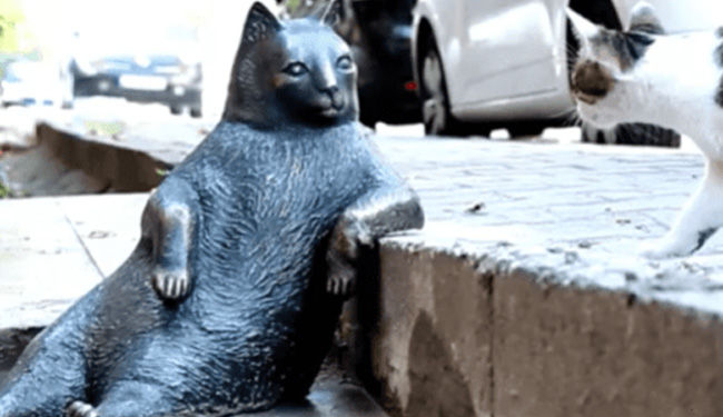 Коты помогут привлекать туристов в Одессу