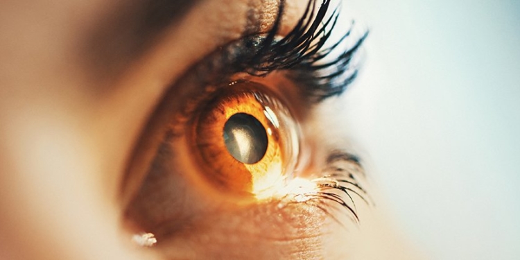 Британские врачи впервые успешно использовали стволовые клетки для восстановления зрения
