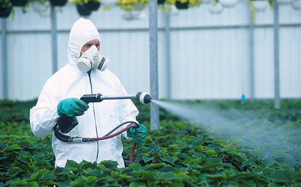 Украинский рынок пестицидов на четверть контрафактный