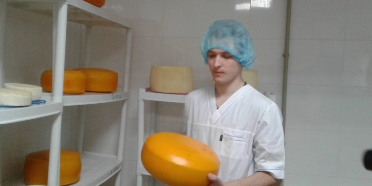 Хороший пример для терробщин. Как в старой бане кооперативную сыроварню открыли