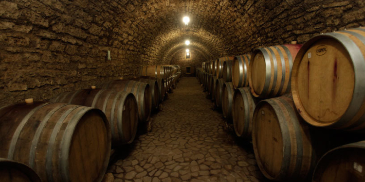 Чистая прибыль винзавода «Коблево» по итогам прошлого года сократилась в 2,6 раза