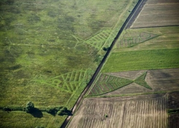 Данилюк о земельной реформе: «У нас есть модель, вопрос только, когда ее начинать»
