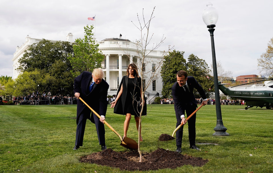 Дуб, посаженный Трампом и Макроном, исчез с лужайки возле Белого дома 7