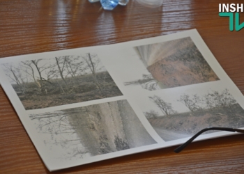 Подрядчик при ремонте трассы Калиновка — Снигиревка уничтожил 157 деревьев – работы остановлены, полиция начала проверку