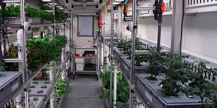 В Антарктиде начали выращивать огурцы и редиску. А мы говорим, что у нас – зона рискованного земледелия