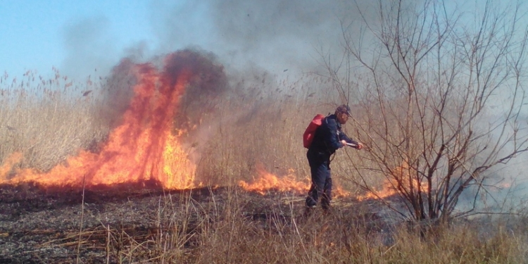 «Горящие выходные»: на Николаевщине за 3 дня зарегистрировано 70 пожаров общей площадью почти 45 га, чуть не сгорел рыбак