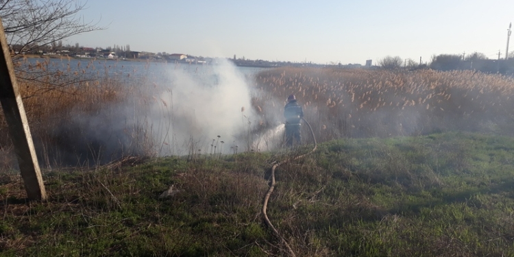 За вчерашние сутки на Николаевщине выгорело 1,5 тыс.кв.м камыша