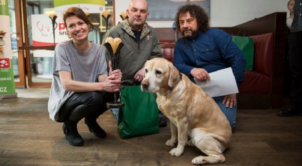 В Чехии наградили собак, которые спасают людей или помогают больным 1
