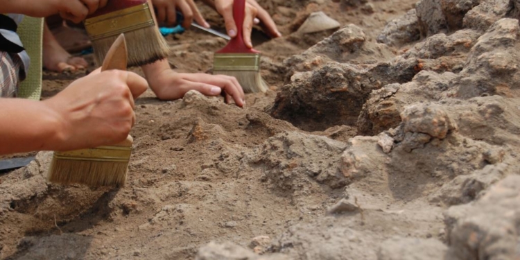 На Днепропетровщине «черные археологи» разорили самый большой в Украине и Европе скифский курган