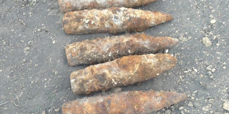 На Николаевщине пиротехники обезвредили 9 артиллерийских снарядов