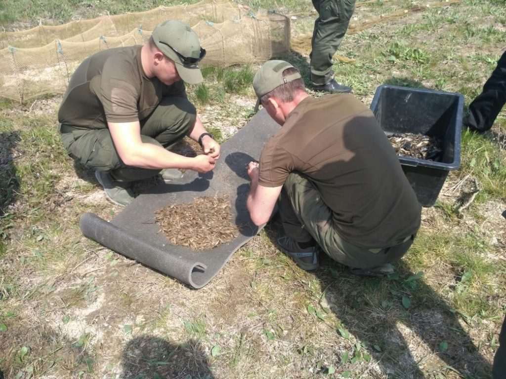 Пограничники в Херсонской и Николаевской областях поймали очередную партию браконьеров 3
