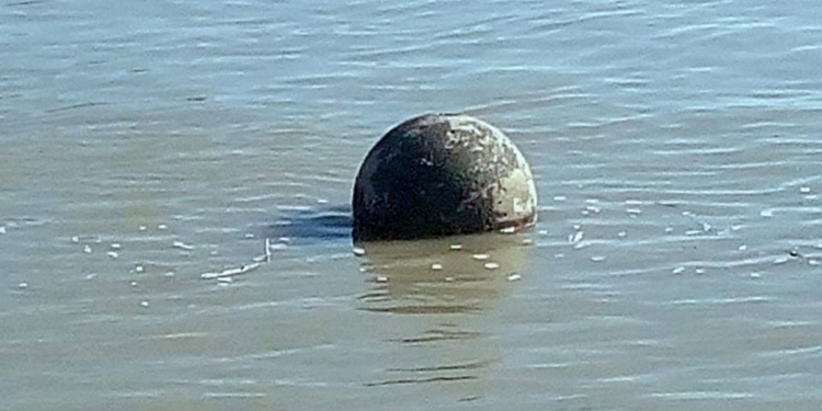 Экипаж лоцманского катера николаевского филиала АМПУ «Дельта-лоцман» на Дунае выявил французскую морскую мину-полутонку