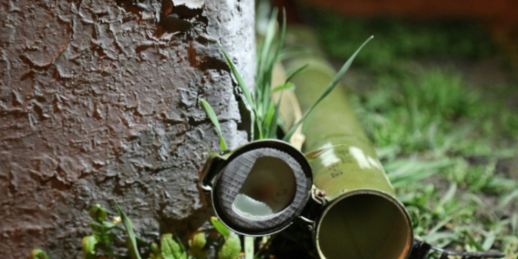 Здание “Киевгорстроя” в центре столицы обстреляли из гранатомета