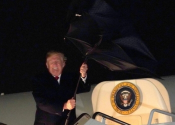 “Прическа не пострадала”: президент США попал в курьезную ситуацию с зонтом