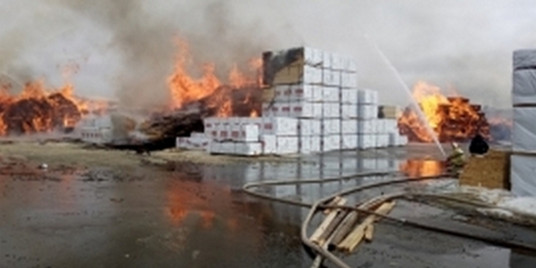 Под Санкт-Петербургом загорелся лесопильный завод – площадь пожара составила 2 тыс.кв.м