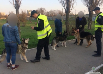 В Николаеве патрульные полицейские начали составлять протоколы на горожан за выгул собак без намордников