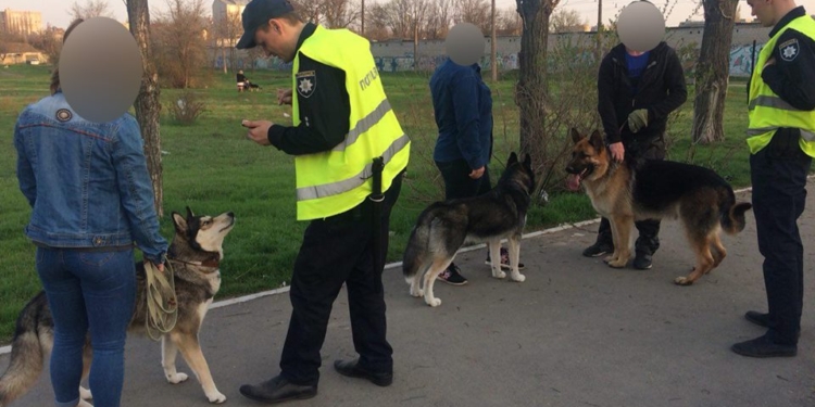 В Николаеве патрульные полицейские начали составлять протоколы на горожан за выгул собак без намордников