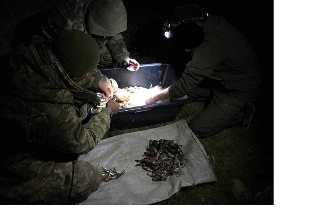 Пограничники в Херсонской и Николаевской областях поймали очередную партию браконьеров 5