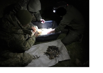 Пограничники в Херсонской и Николаевской областях поймали очередную партию браконьеров