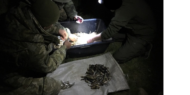 Пограничники в Херсонской и Николаевской областях поймали очередную партию браконьеров