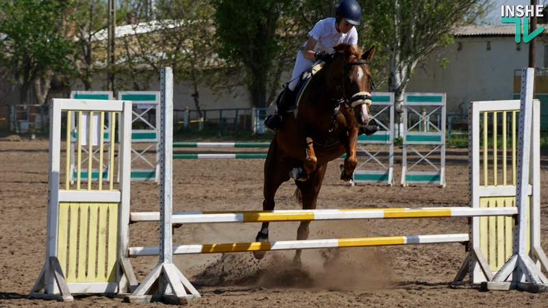 Сезон открыт: в Николаеве стартовал открытый чемпионат области по конному спорту памяти Александра Зозули 3