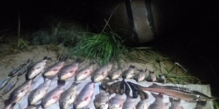 В Очакове поймали браконьера. С осетром