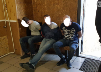 В Николаеве водитель “Газели” с двумя пособниками напали на патрульного – СМИ