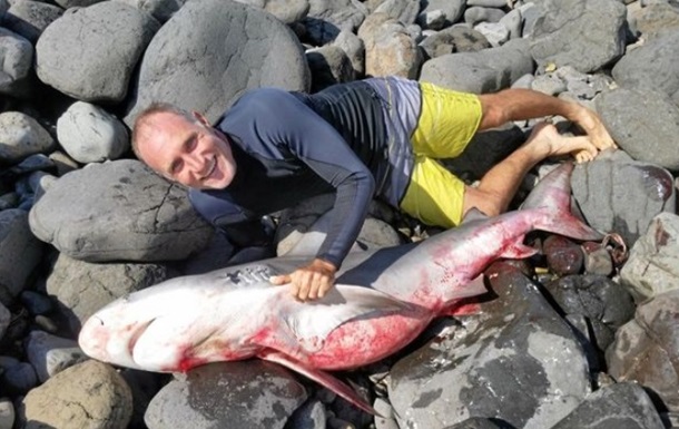 В Австралии серфингист испугался акулы и вытащил ее на берег 1