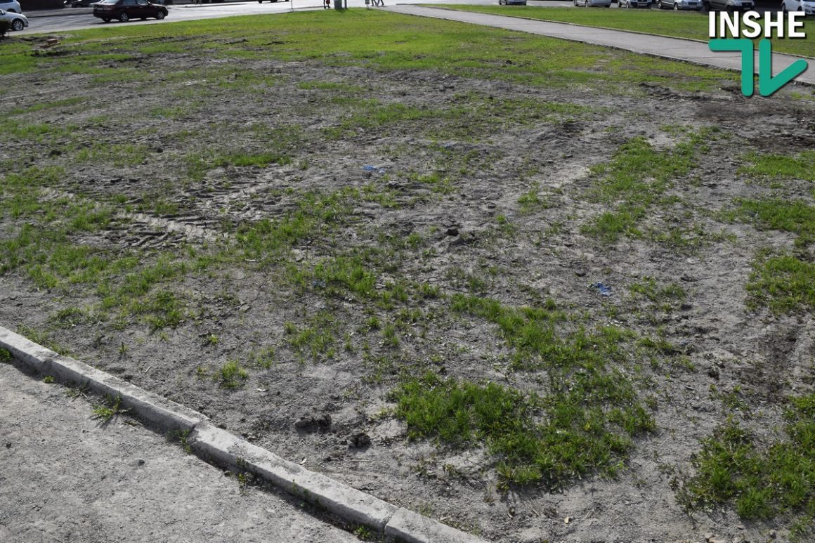 Газон на площади Соборной планируют восстановить за счет травяного покрытия Центрального городского стадиона 5