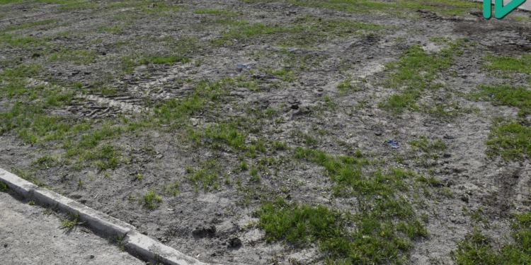 Газон на площади Соборной планируют восстановить за счет травяного покрытия Центрального городского стадиона