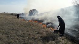 Спасатели Николаевщины зарегистрировали 12 пожаров за сутки 1