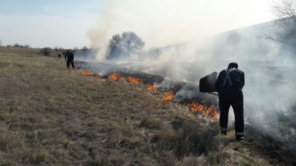 Спасатели Николаевщины зарегистрировали 12 пожаров за сутки 3