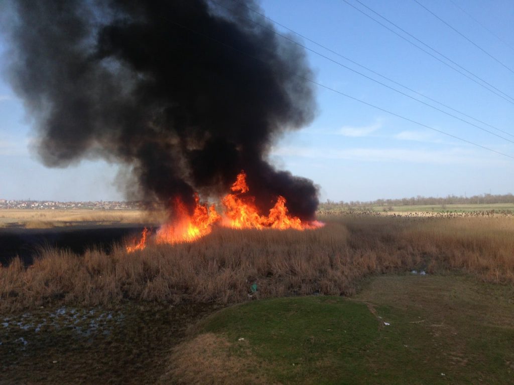 Спасатели Николаевщины зарегистрировали 12 пожаров за сутки 7