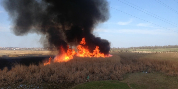 Спасатели Николаевщины зарегистрировали 12 пожаров за сутки