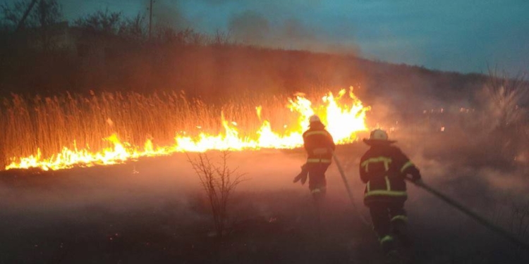 Неуловимые поджигатели камышей продолжают свое черное дело – возле Водяно-Лорине выжгли 4 га