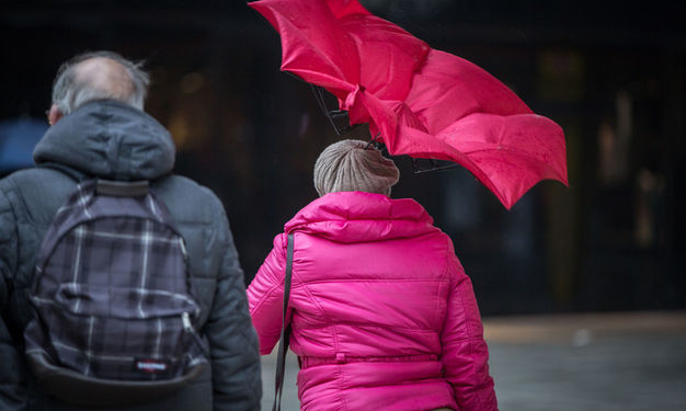 Сильные порывы ветра на Николаевщине: 5 населенных пунктов остались без электричества