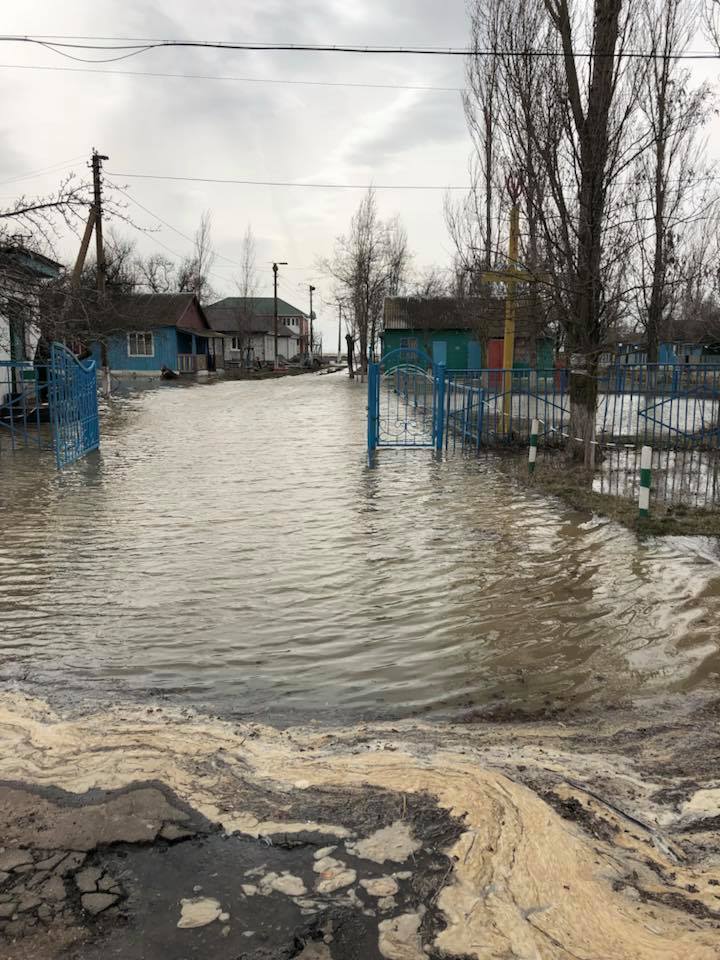 Ветер нагнал воды: на Николаевщине подтопило базы отдыха 1