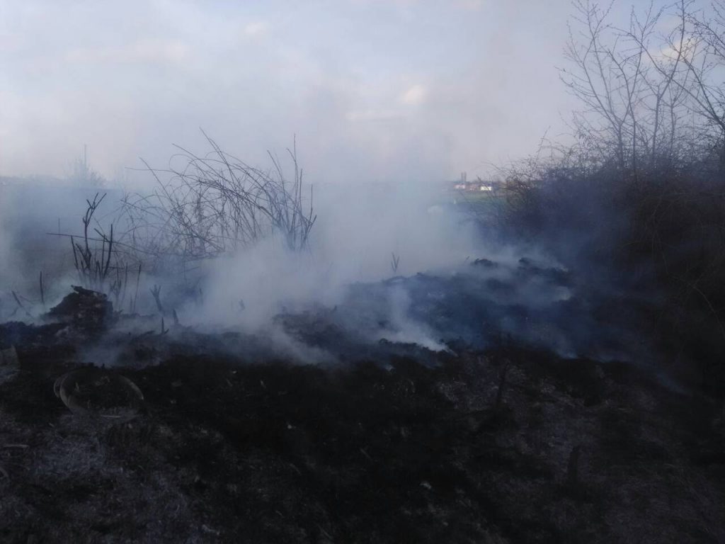Николаевские спасатели за сутки потушили 11 пожаров на открытой территории 1
