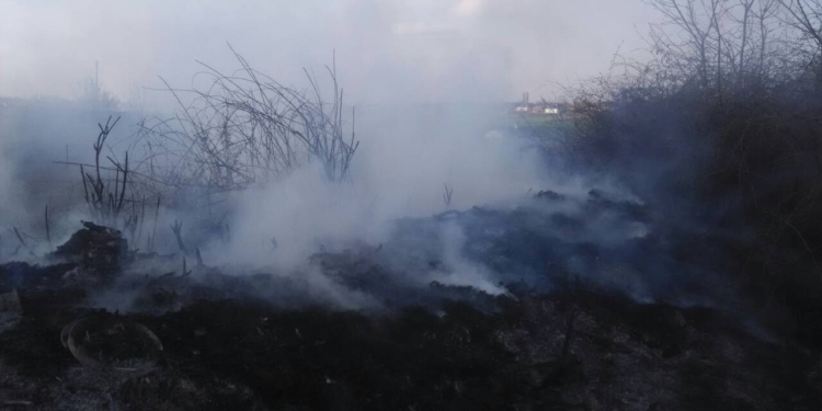 Николаевские спасатели за сутки потушили 11 пожаров на открытой территории