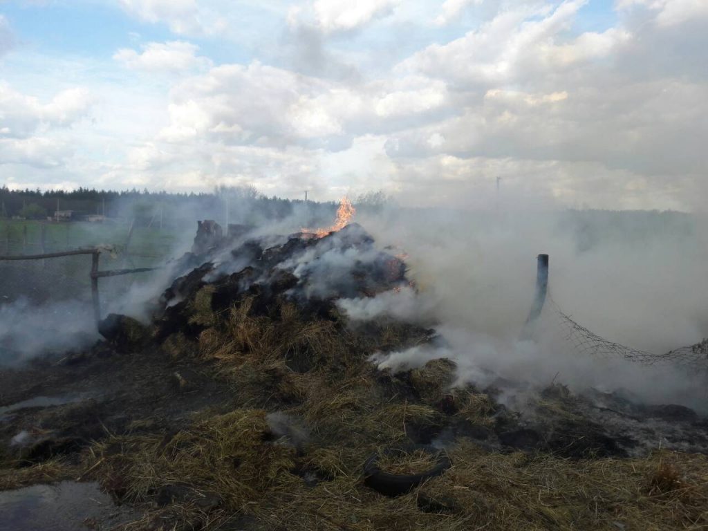 Спасатели Николаевщины: из-за сильного ветра увеличилась опасность пожаров на открытых территориях 1