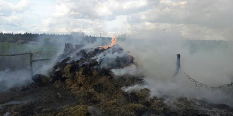 Спасатели Николаевщины: из-за сильного ветра увеличилась опасность пожаров на открытых территориях