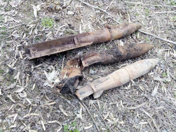 Николаевские пиротехники уничтожили три авиабомбы и минометную мину 5